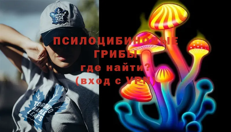 купить  цена  Кувшиново  Галлюциногенные грибы MAGIC MUSHROOMS 